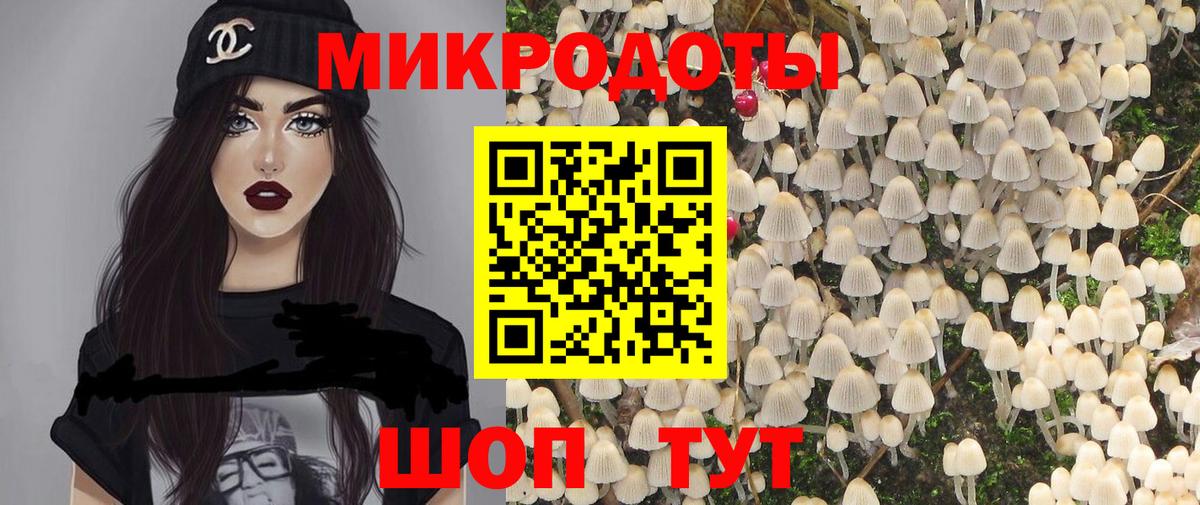Псилоцибиновые грибы мицелий Советская Гавань