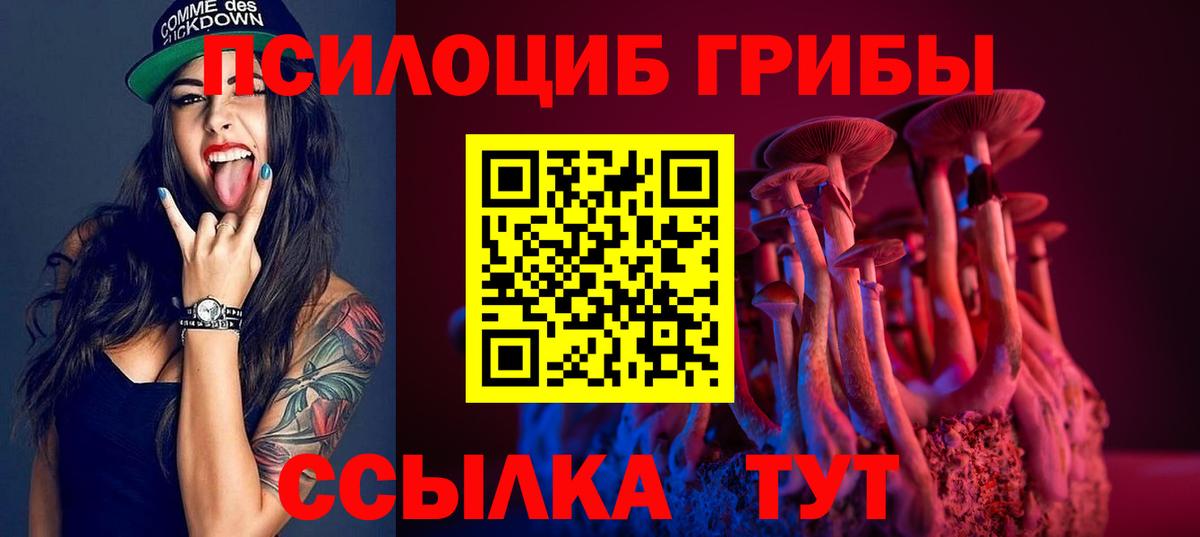 Советская Гавань  Галлюциногенные грибы MAGIC MUSHROOMS  Вход с VPN 